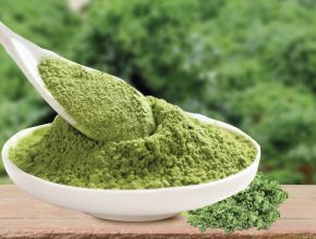 Bột Cải Kale (Cải Xoăn)