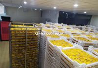 6 Phương Pháp Chế Biến Nông Sản Phổ Niến Nhất Hiện Nay